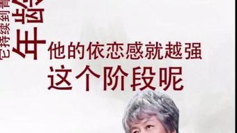 根基是什么意思