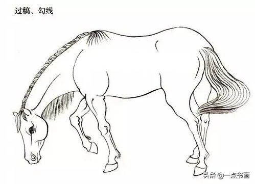 画马简笔画，画马桶人的图片