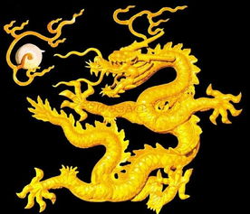 生肖属龙者的流年事业运程