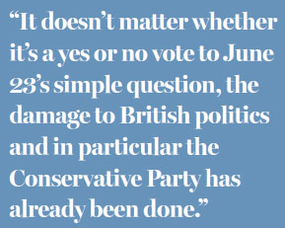 联邦公投什么意思