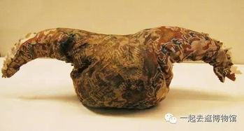 罽怎么读什么意思，罽鹴怎么读