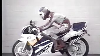 steer是什么意思