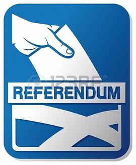 referendums，referendum词根