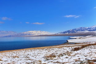 归雁入胡天的前一句