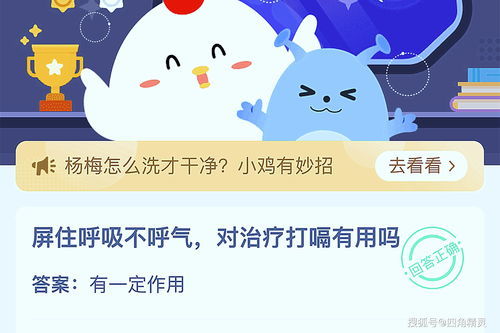糟糠是什么意思?