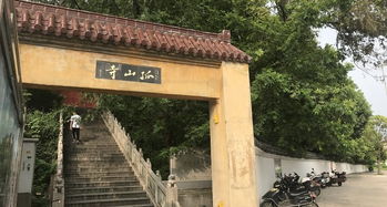 孤山寺北贾亭西全诗意思