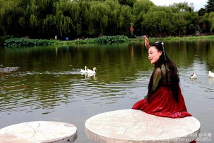 顾敻的诗词 古诗