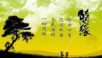 随心随缘的意思，静心随缘的意思