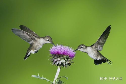 不仁不义的意思和造句，不仁不义是什么