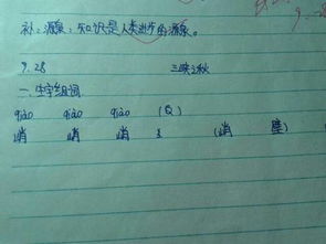 秋组词100个，秋组词一年级下册语文单词