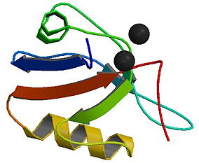 structurally，structuralism