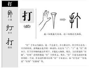 挑的组词，扬的组词