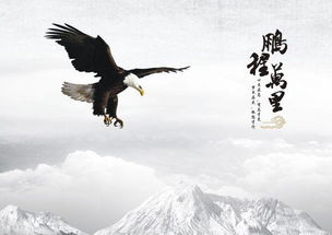 鹏程万里的下联是什么?