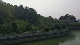 孤山寺北贾亭西的全诗，孤山寺北贾亭西水面初平云脚低全诗