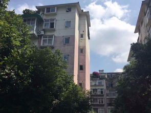 时代雅居属于哪个社区，时代雅居酒店