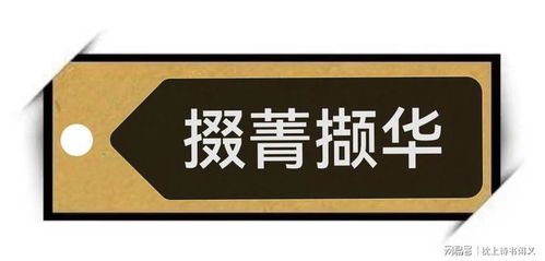 华成语老婆，华成语演唱会