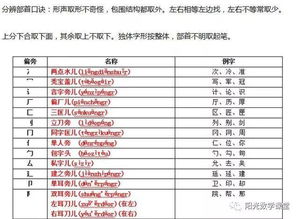 会的偏旁是什么