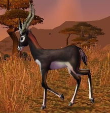 我亲爱的小松鼠们螃蟹，我亲爱的小松鼠们北风蛙