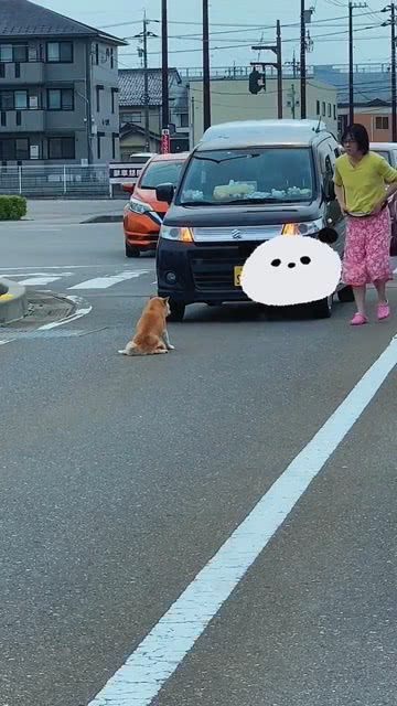 造成交通堵塞的原因