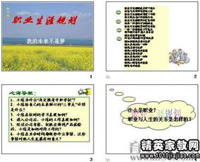 简单的人生规划范文怎么写，人生规划短篇
