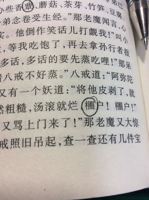 木字旁加个西字是什么字?