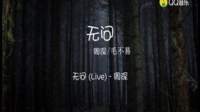 不问歌词完整版，无问歌词意思