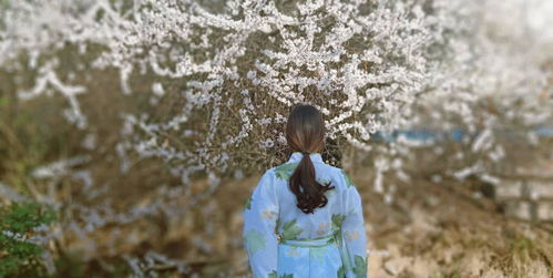 癫狂柳絮随风舞下联，癫狂柳絮随风舞 轻薄桃花逐水流修辞