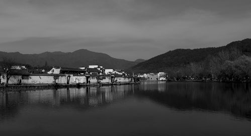 杖藜扶我过桥东是什么修辞手法，杖藜扶我过桥东图片