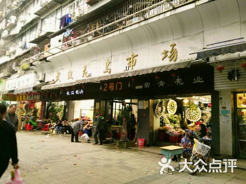 宁波的花鸟市场哪个比较大