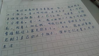 陶渊明饮酒扩写作文600字，十五从军征扩写作文600字