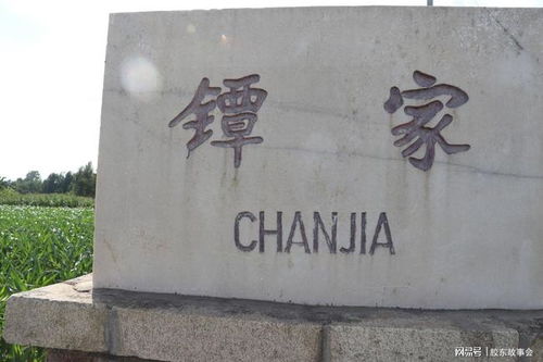 镡怎么读 镡的拼音是什么