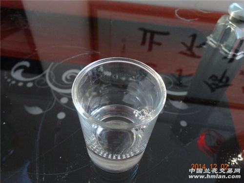 白酒的酒花是什么