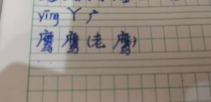 鹰可以组什么词语呀，鹰组什么词语和拼音两个字