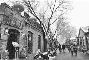 孙红雷金海什么电视剧