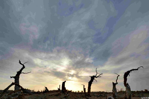 三年的等待原唱