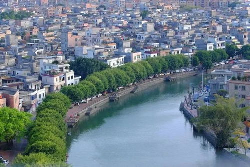 东莞道滘镇属于哪个区