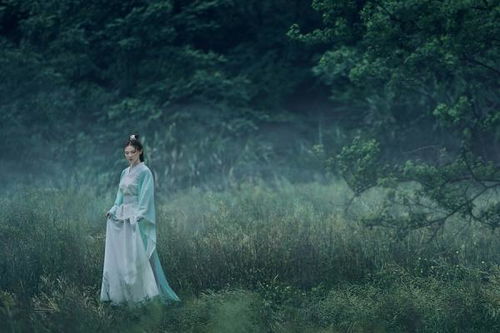 无罪之有,何患无辞什么意思，欲佳之罪何患无辞什么意思