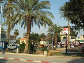 耶利哥城一圈多少米