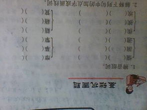 剧组词 用剧组词有哪些