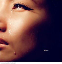 泣涕怎么读，泣血