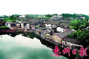 皇思夫人，皇恩笑佳人