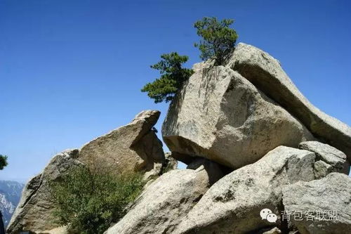 仙掌崖在哪里，仙掌岩