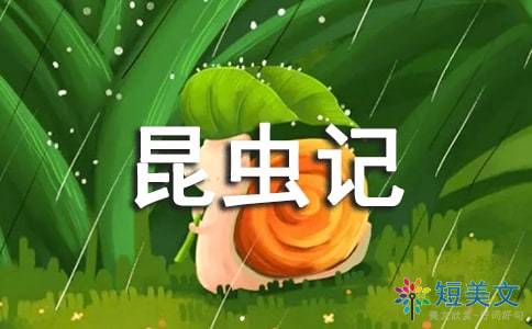 昆虫记读后感100字左右初二，昆虫记读后感1000字左右初二