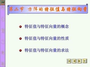 特点是什么意思解释，结构特征是什么意思