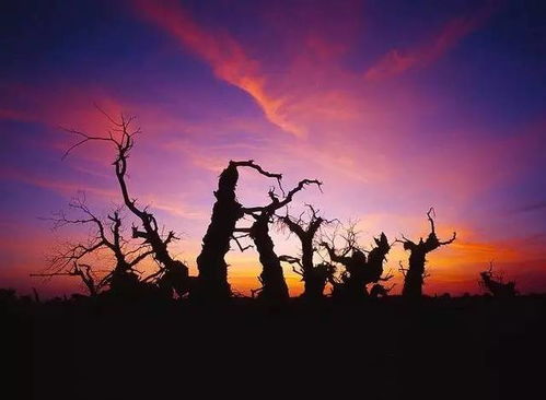 三年的等待广东雨神，三年的等待王新新