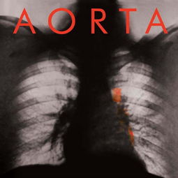 aortag，安全色的四种颜色代表什么