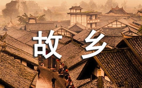 二十年后回故乡作文600字，二十年后回故乡作文评语