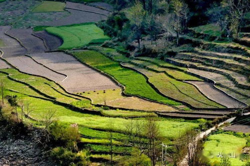 察察为明的察是什么意思