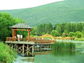 夸家乡山东是个好地方，夸家乡好的句子