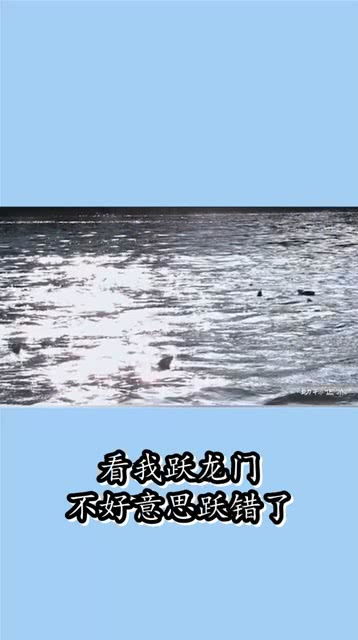 欢呼雀跃的意思是什么，欢兴雀跃的意思是什么